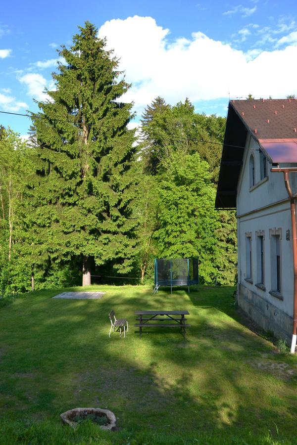 Penzion U Lipy Vysoké nad Jizerou Buitenkant foto
